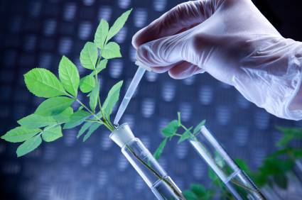 Biotechnology (công nghệ Sinh học) - Contra Costa College - Du học Mỹ, San Francisco, California